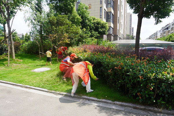 擦亮融合性社区组织底色 助力文明典范城市创建.jpg