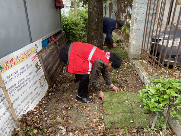 “银辉党员和居民一起开展种绿工作_副本.jpg