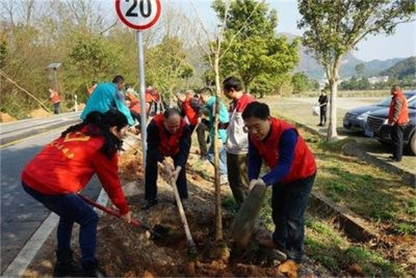 植树2.jpg