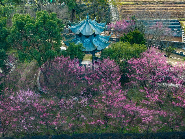 柴桥成校：读懂“千万工程”密码，柴桥河头旧村换新颜，这里村美民富产业兴 (2).jpg