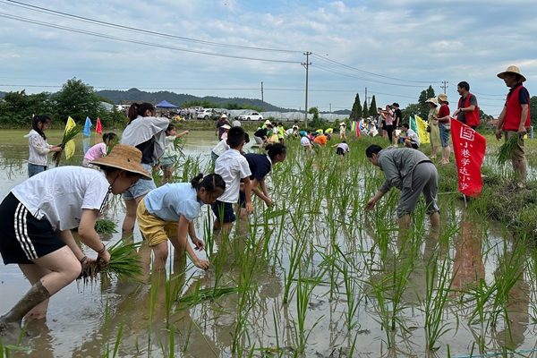 下邵片区党群服务中心：假日学校之行走的课堂进秧田.jpg