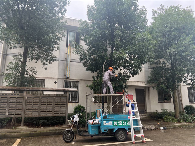 柴桥成校：路灯改造惠民生 点亮养志照民心.jpg