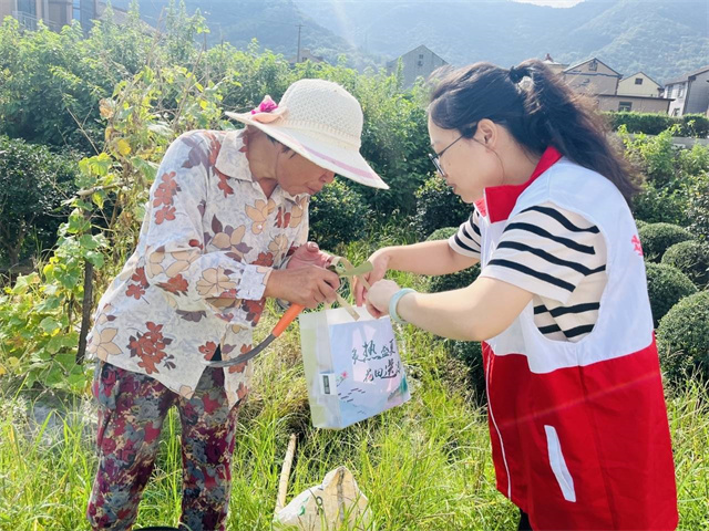 柴桥成校：立秋未入秋 花田送清凉.jpg