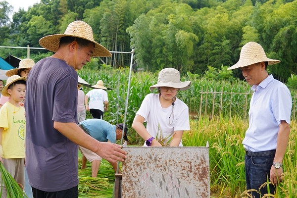 下邵社区党群服务中心：割稻、打稻谷 一去“趣”体验.jpg