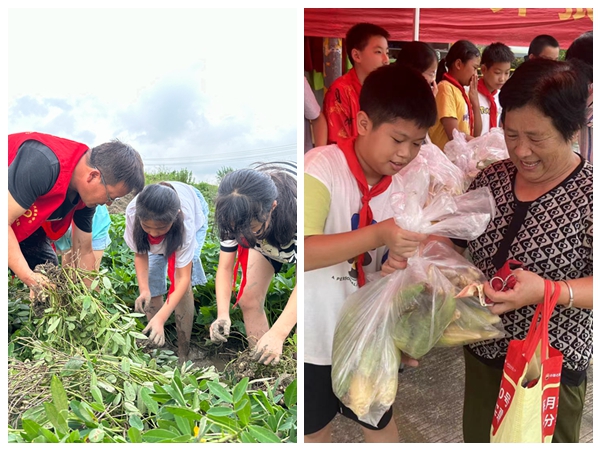 下邵社区党群服务中心：慈善日“希望农场”丰收季.jpg