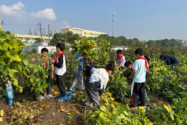 下邵社区党群服务中心：秋天里的采摘课.jpg
