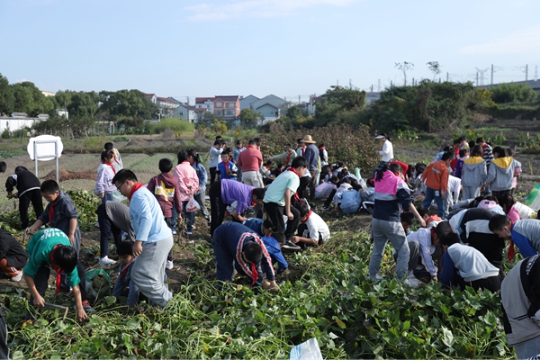 下邵社区党群服务中心：劳动教育 “薯”你快乐.jpg