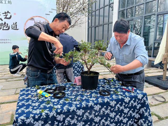 柴桥成校：盆景造型论“技艺”，赛出共富新“跑道”.jpg