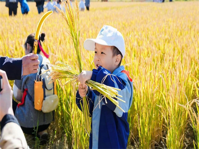 柴桥成校：柴桥举办“忆农耕 庆丰收”活动22.jpg