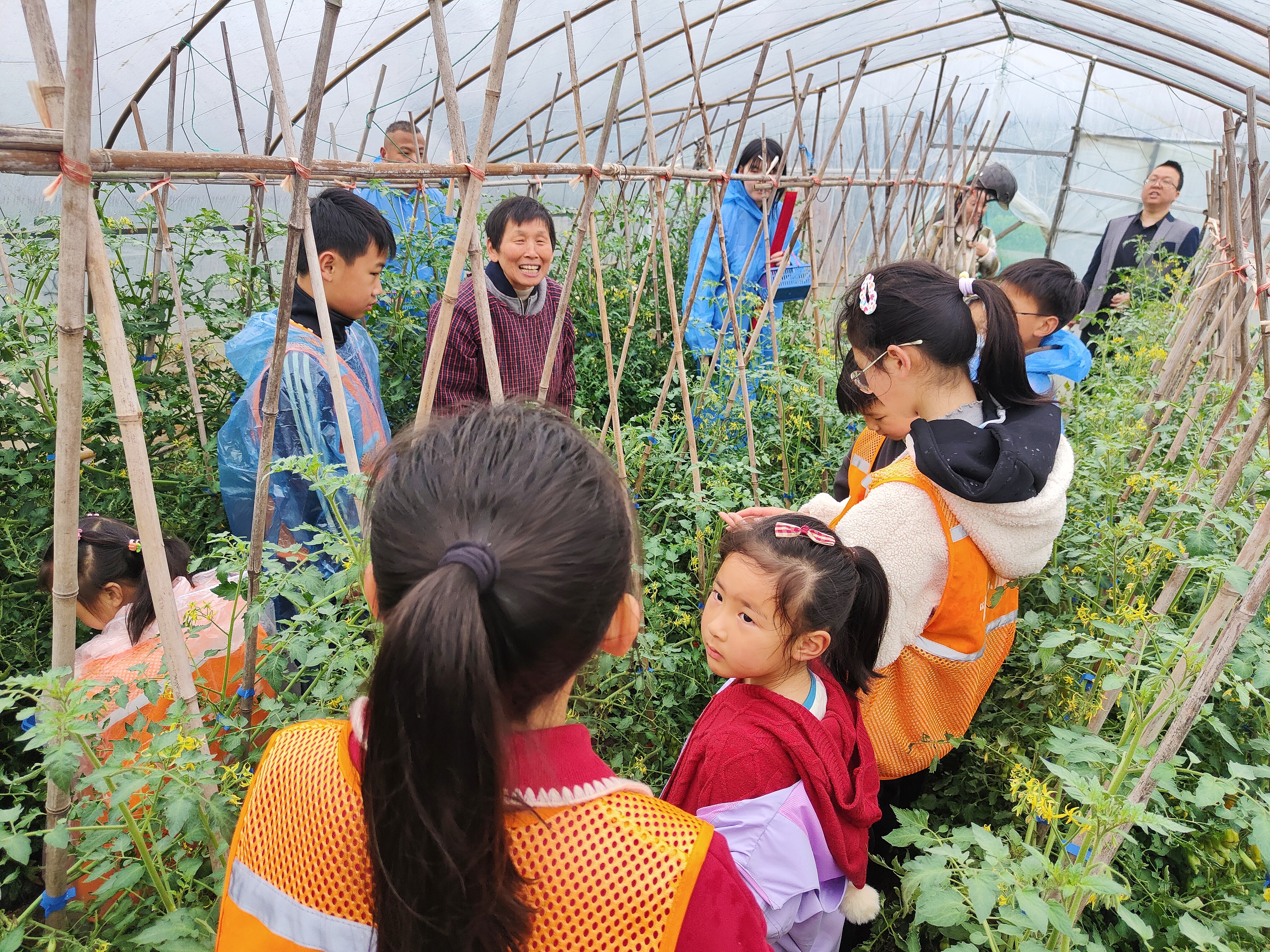 产业工人子女听大棚管理人员讲解农作物生长知识.jpg