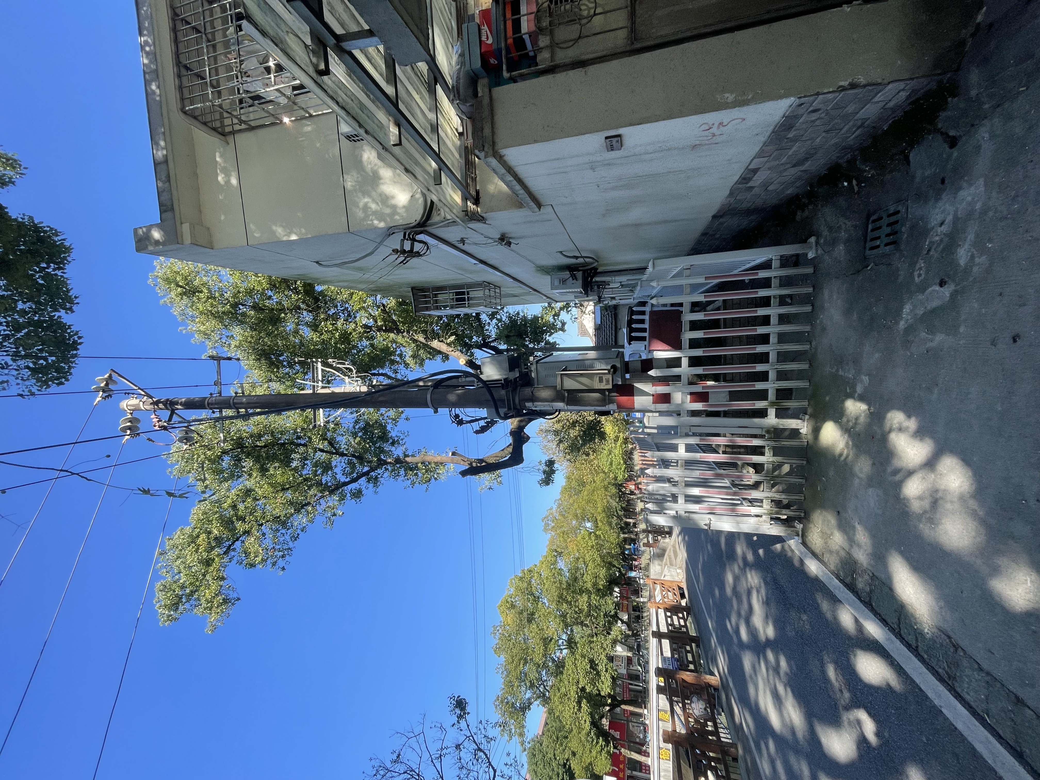 芦吉 社区网格化管理助力河东社区安全隐患快速解决 砍树后.JPG