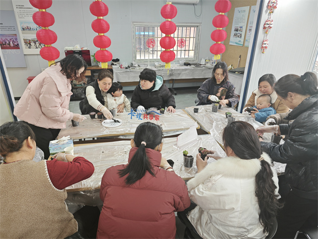 北仑柴桥成校：光合“植”愈 绿色共创.jpg