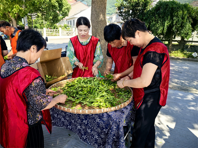 北仑柴桥成校：银龄赋能展风采  花木技艺助共富.jpg