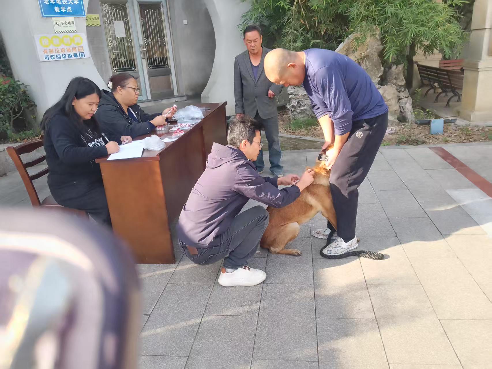 小浃江社区党群服务中心：宠物打疫苗，安全守护居民.jpg