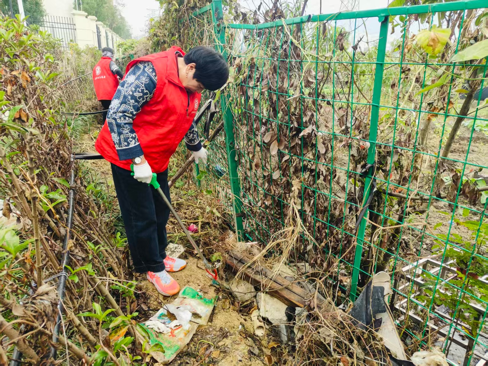 长山社区：红甲践初心 田埂焕新颜.jpg