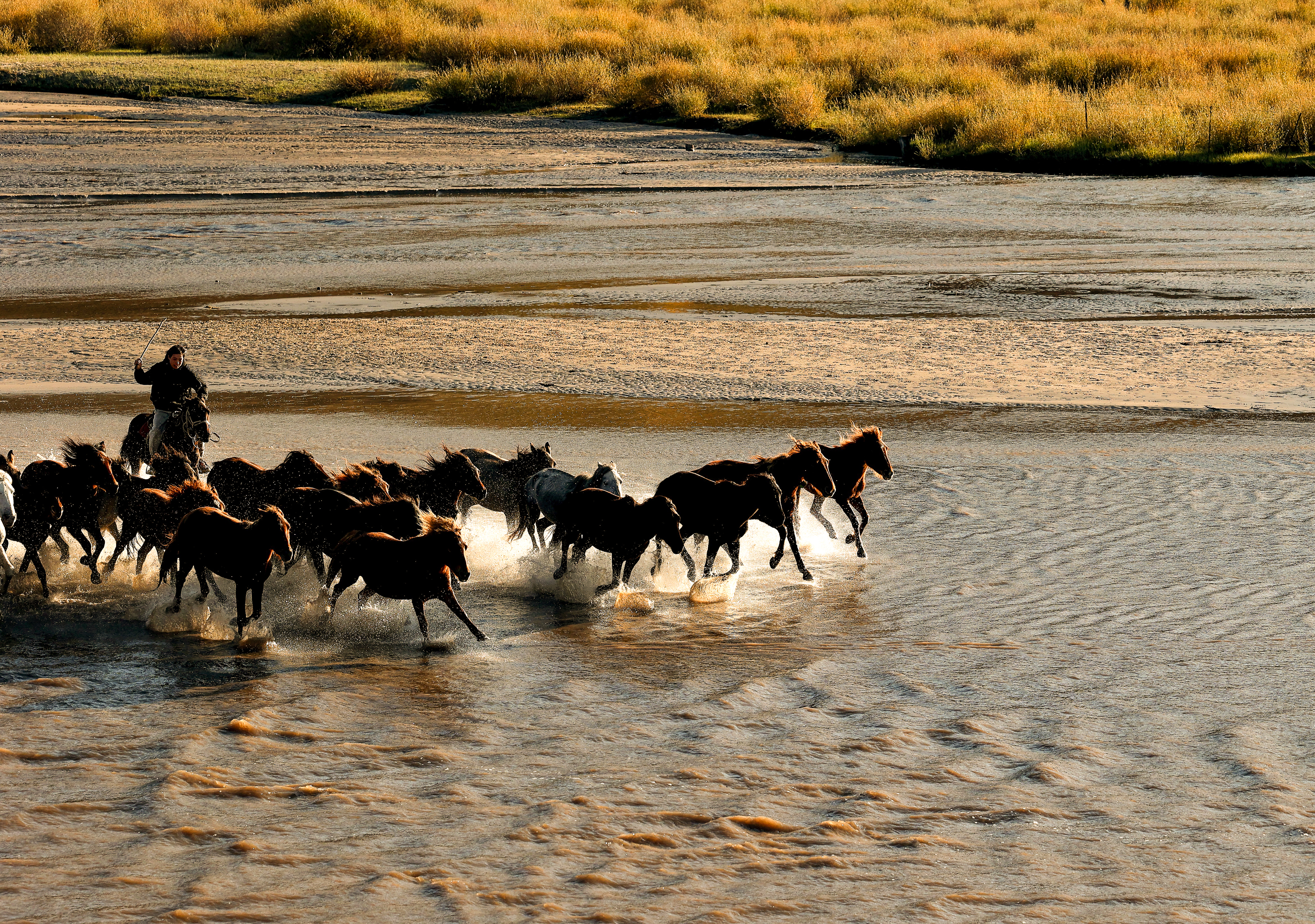 三 《奔腾》+岑仲明+13906743378-2.jpg