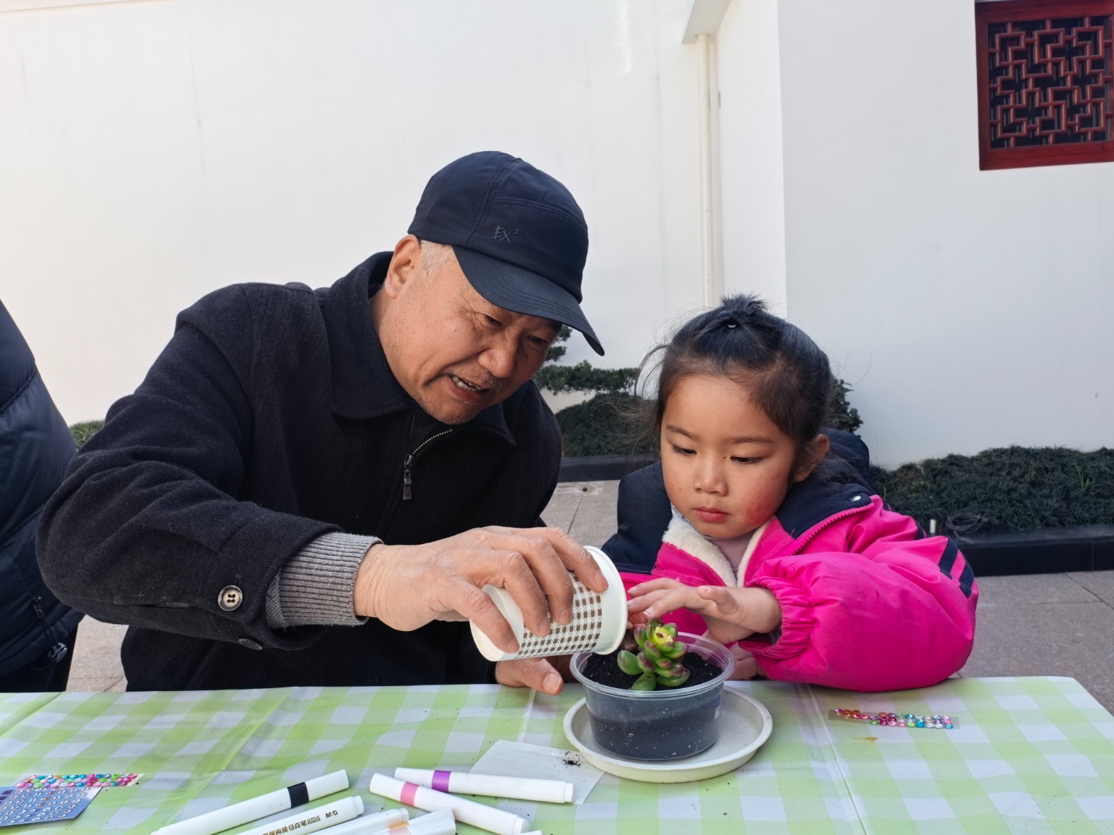 老少同耕“环保梦” 废弃杯子变身“多肉花园”.jpg