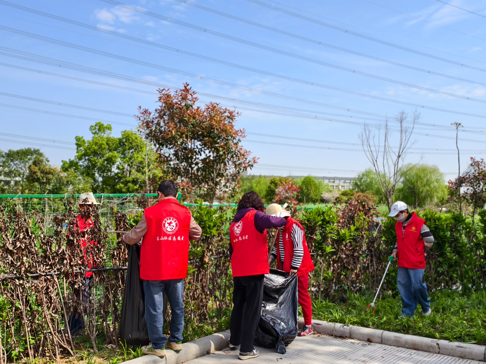 长山社区：红马甲守护绿田畴 巾帼志愿绘春景.jpg