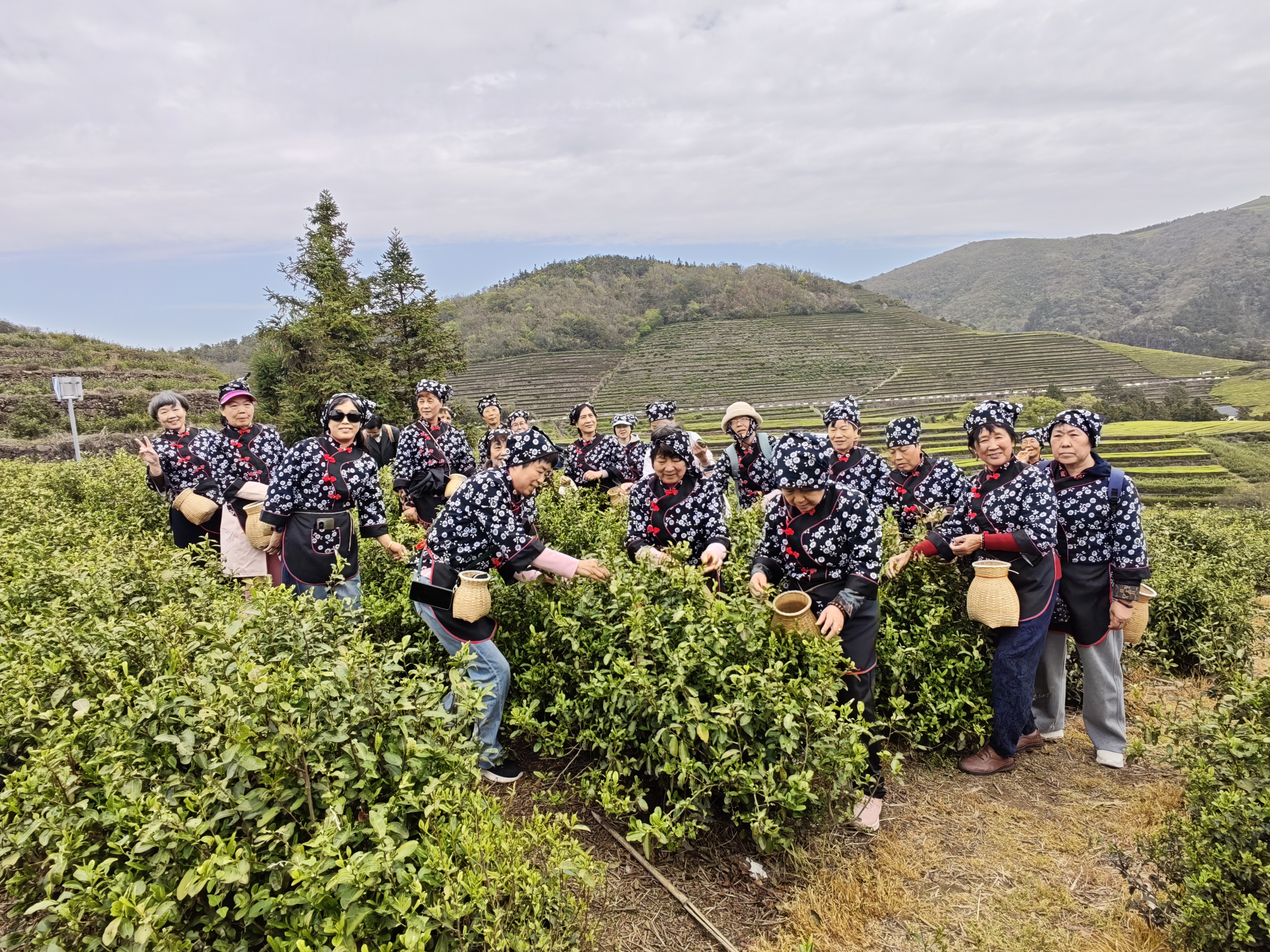 采茶合照 (1).jpg