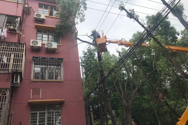 社区牵头“砍树”解民忧 (1).jpg