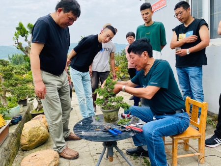 课堂移村口 师生进田头——微盆景造型提升课程.jpg