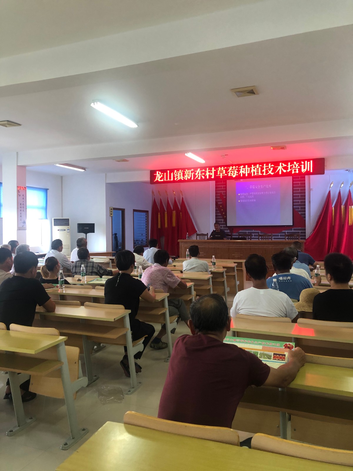龙山镇2020年草莓安全生产关键技术培训.jpg