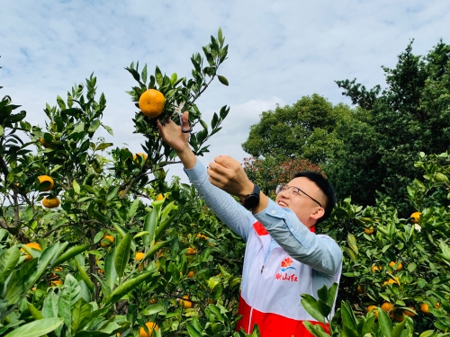 合力助农齐吆喝 畅通销路助农乐.jpg