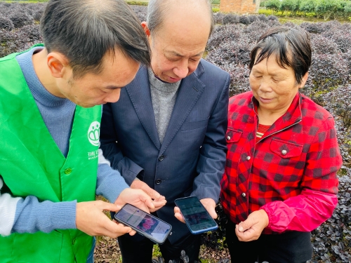 送技入田头 花农受益多.jpg