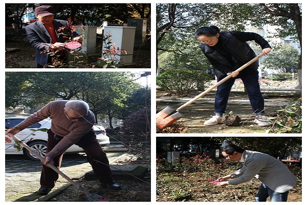 开展“党建焕新生 春暖高田王”植树节活动 (1).jpg