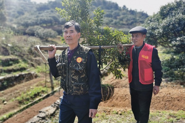 种下“产业树”，奔向振兴路 (1).jpg