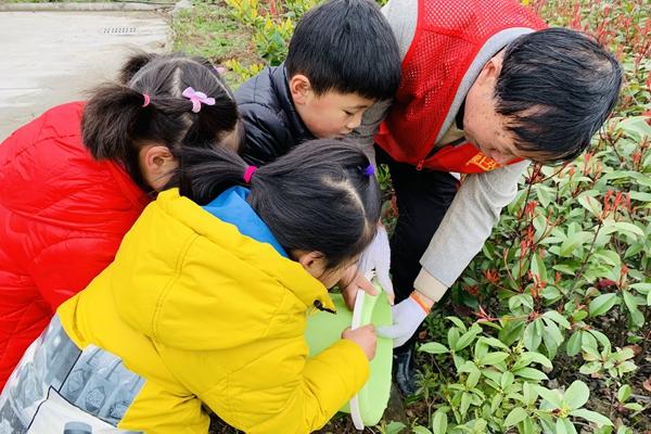 老少同行拥抱春天 用心共植绿色树苗 (2)(1).jpg