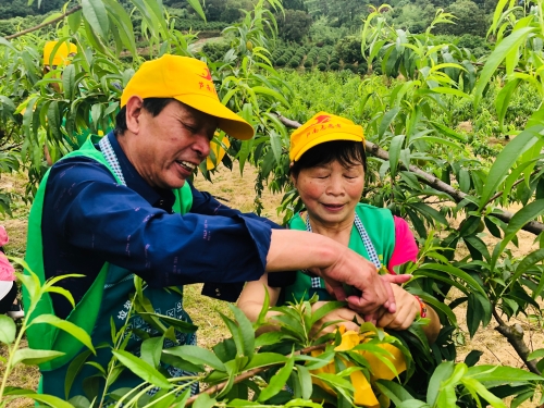 林间田地党旗红 助农解忧践初心.jpg