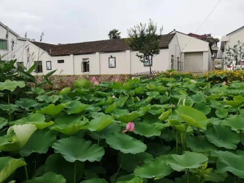 廉政文化教育 (4).jpg