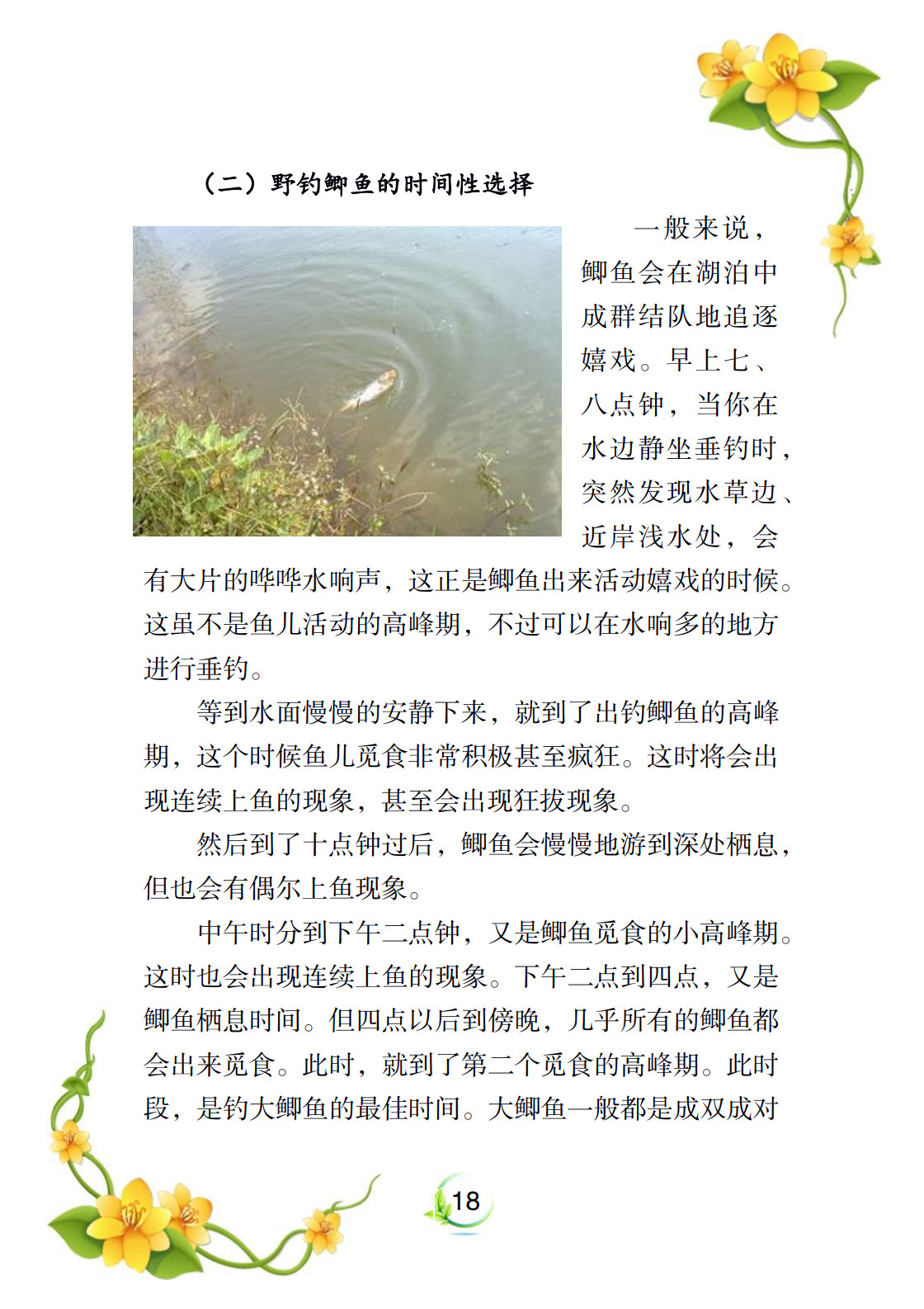 新手钓鱼教程_20.jpg