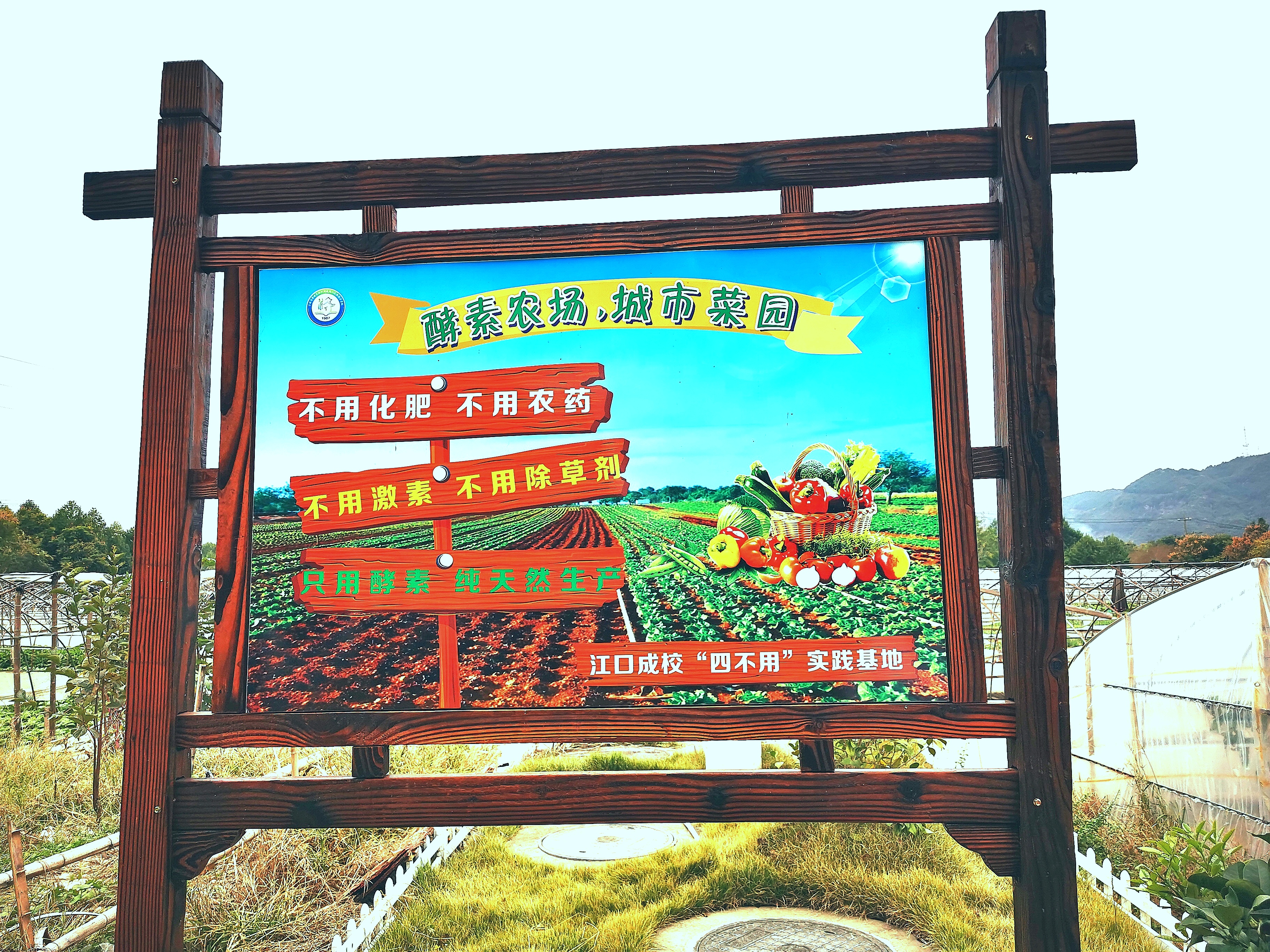 酵素农场-四不用.jpg