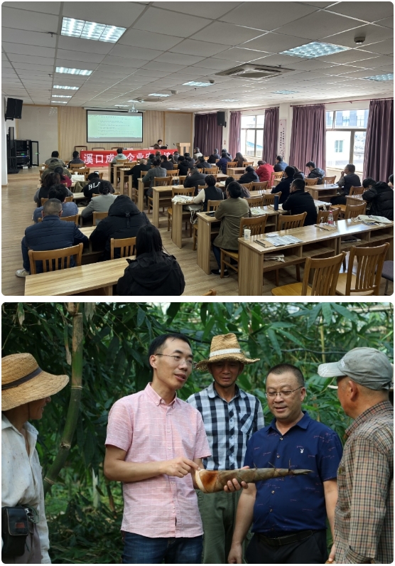 微信截图_20250619111731.png