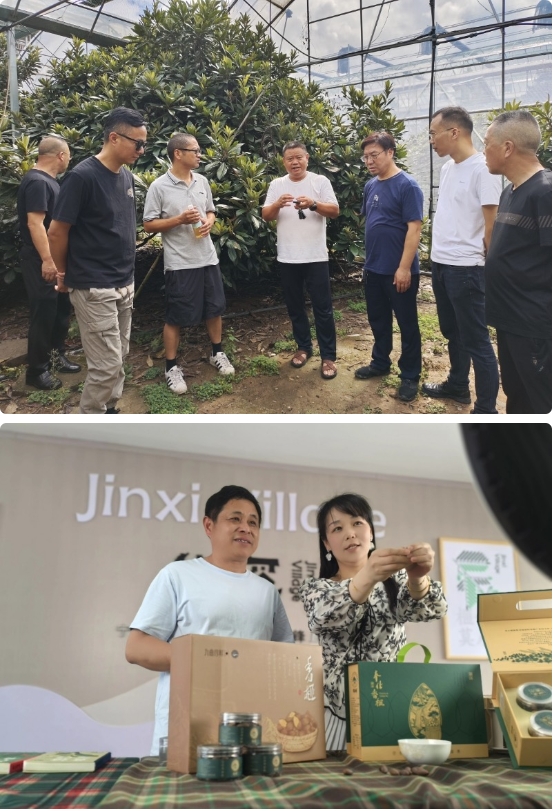 微信截图_20250619111759.png