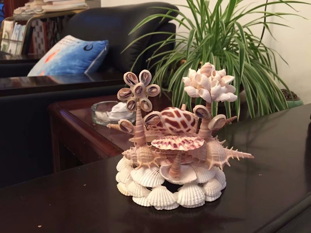 0025号 贝壳立体造型,贝壳贴画